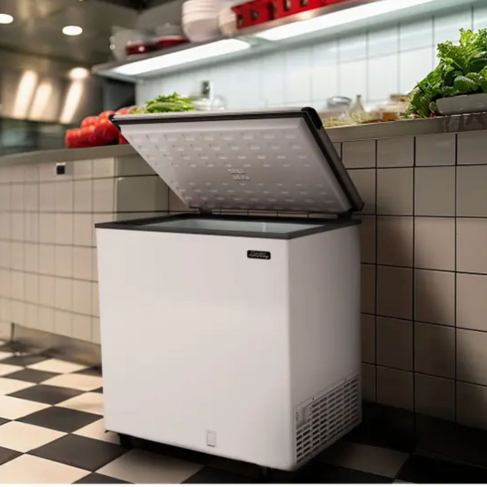 Freezer Industrial Horizontal 1 Porta 214L Esmaltec ECH250