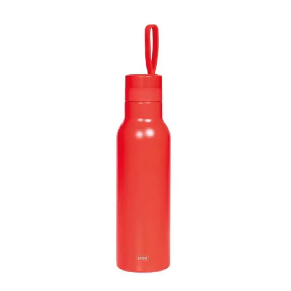 Garrafa Térmica Mor Color 500ml